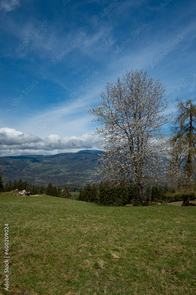 landscape arround the Schlern in South Tyrol landscape arround the Schlern in South Tyrol