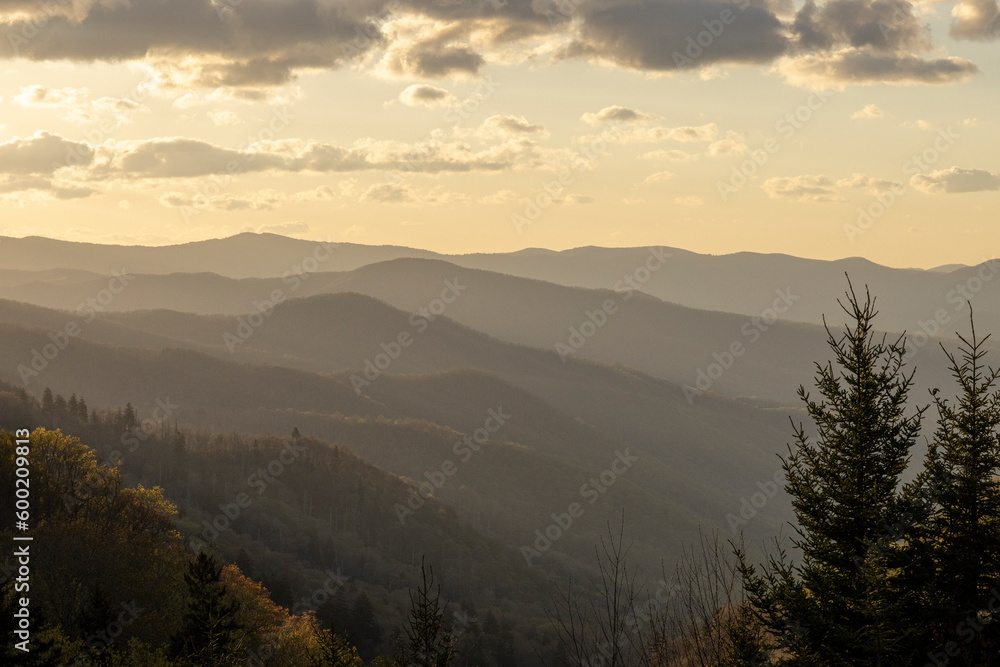 Great Smokey Mountains