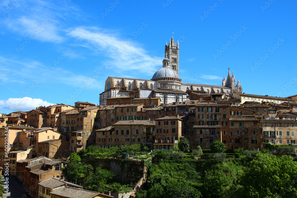 View of the old renaissance city of Siena in the background the Cattedrale di Santa Maria Assunta- Tuscany, Italy