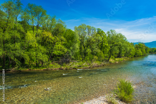 Canyon of Kupa river in spring, Gorski kotar, Croatia