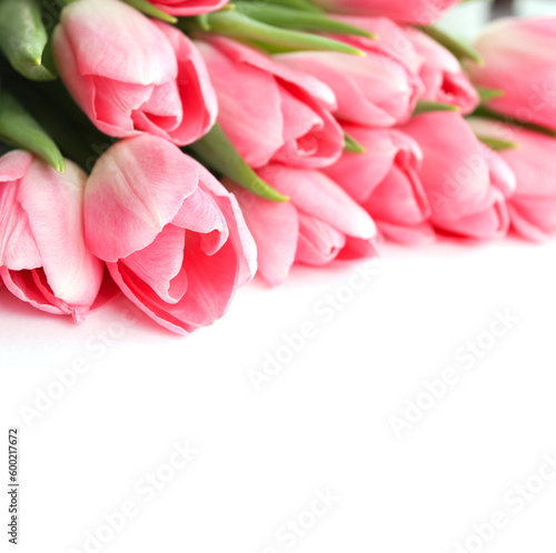 Pink tulips