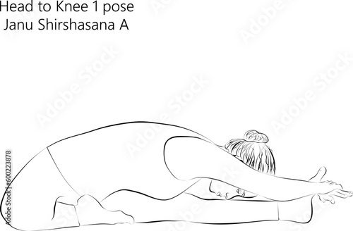Sketch of young woman practicing yoga, doing Head to Knee 1 pose. Janu Shirshasana A. Seated and Forward Bend. Beginner. Vector illustration isolated on transparent background.