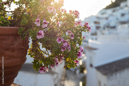picturesque village of  Mijas. Costa del Sol, Andalusia, Spain