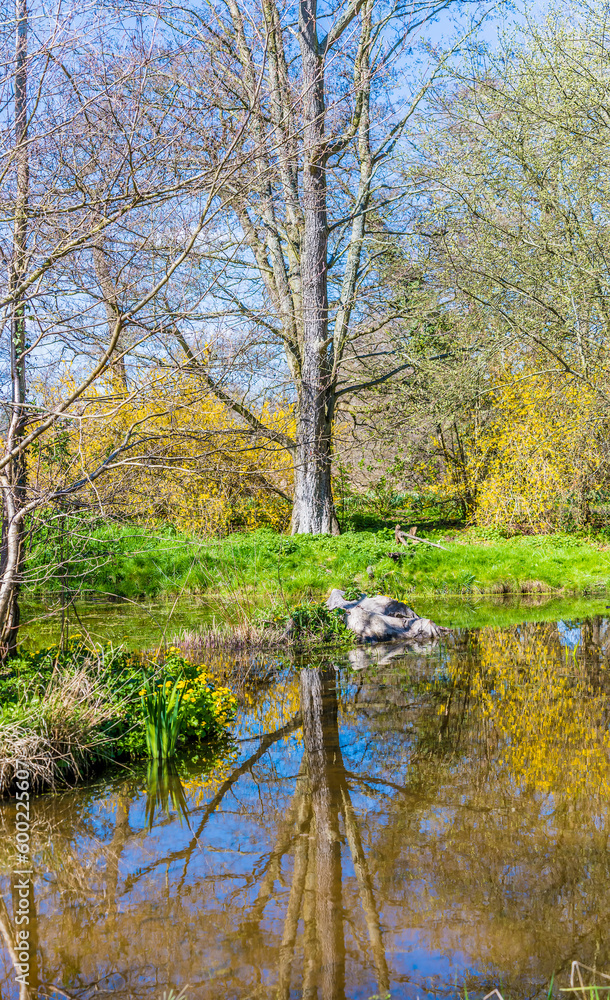 A view of reflections in the River Arrow near Alcester in early summer A view of reflections in the River Arrow near Alcester in early summer