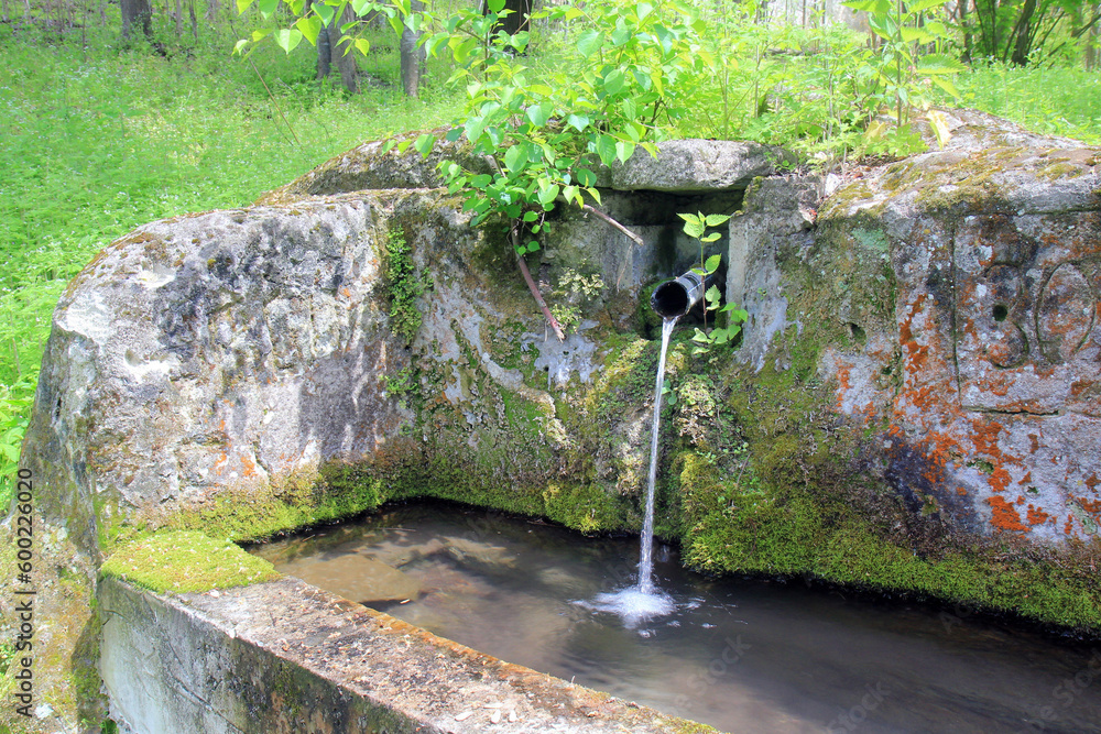 Obraz premium Cheshma with spring water in the forest near the village of Royak (Bulgaria) 