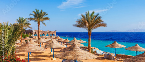 Beach and palm trees on Red Sea in Sharm el Sheikh, Sinai, Egypt photo