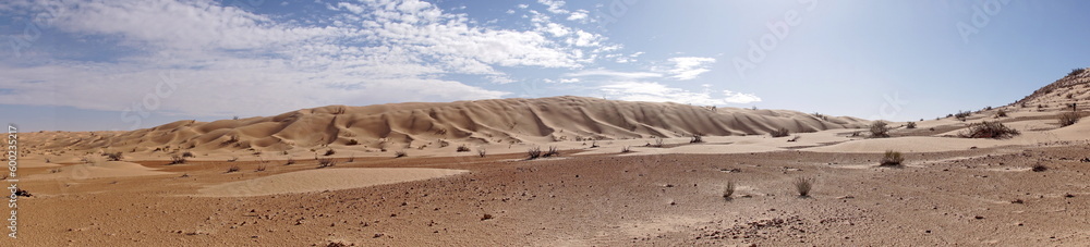 Panorama of sand dunes surrounding a valley in the Sahara Desert, outside of Douz, Tunisia