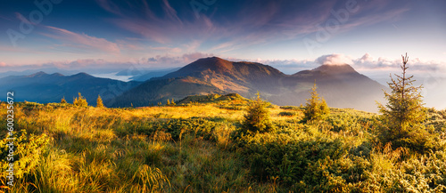 A breathtaking view of the mountain ranges in the evening sunlight. Carpathian mountains, Ukraine, Europe.