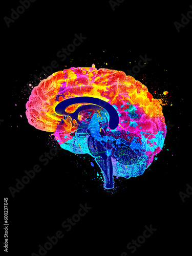 Colorful watercolor human brain art,  Watercolor brain structure