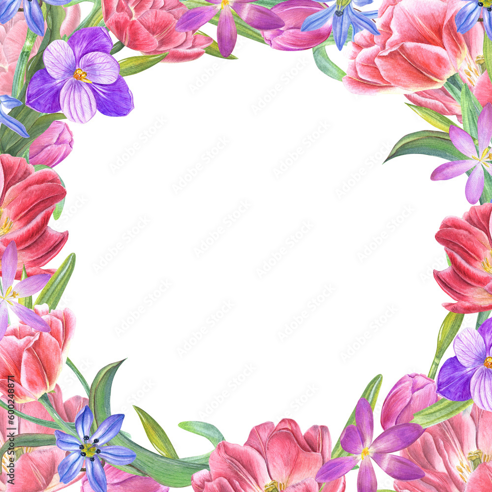 custom made wallpaper toronto digitalWatercolor frame of tulips, daffodils, crocuses, scillas isolated on transparent. Botanical painting for postcard design, invitation template, Valentines day, birthday, wedding, mother day cards