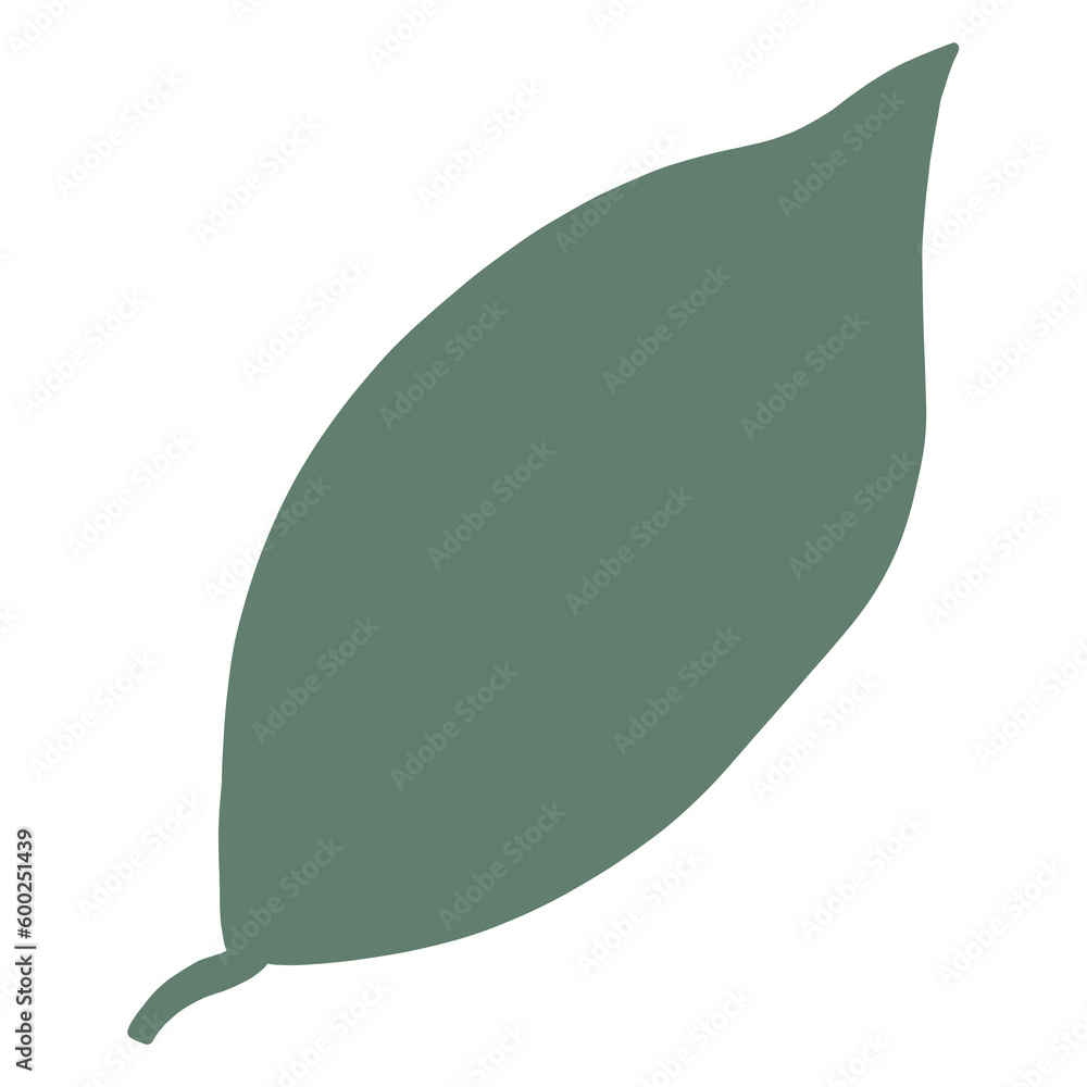 illustration of a leaf illustration of a leaf