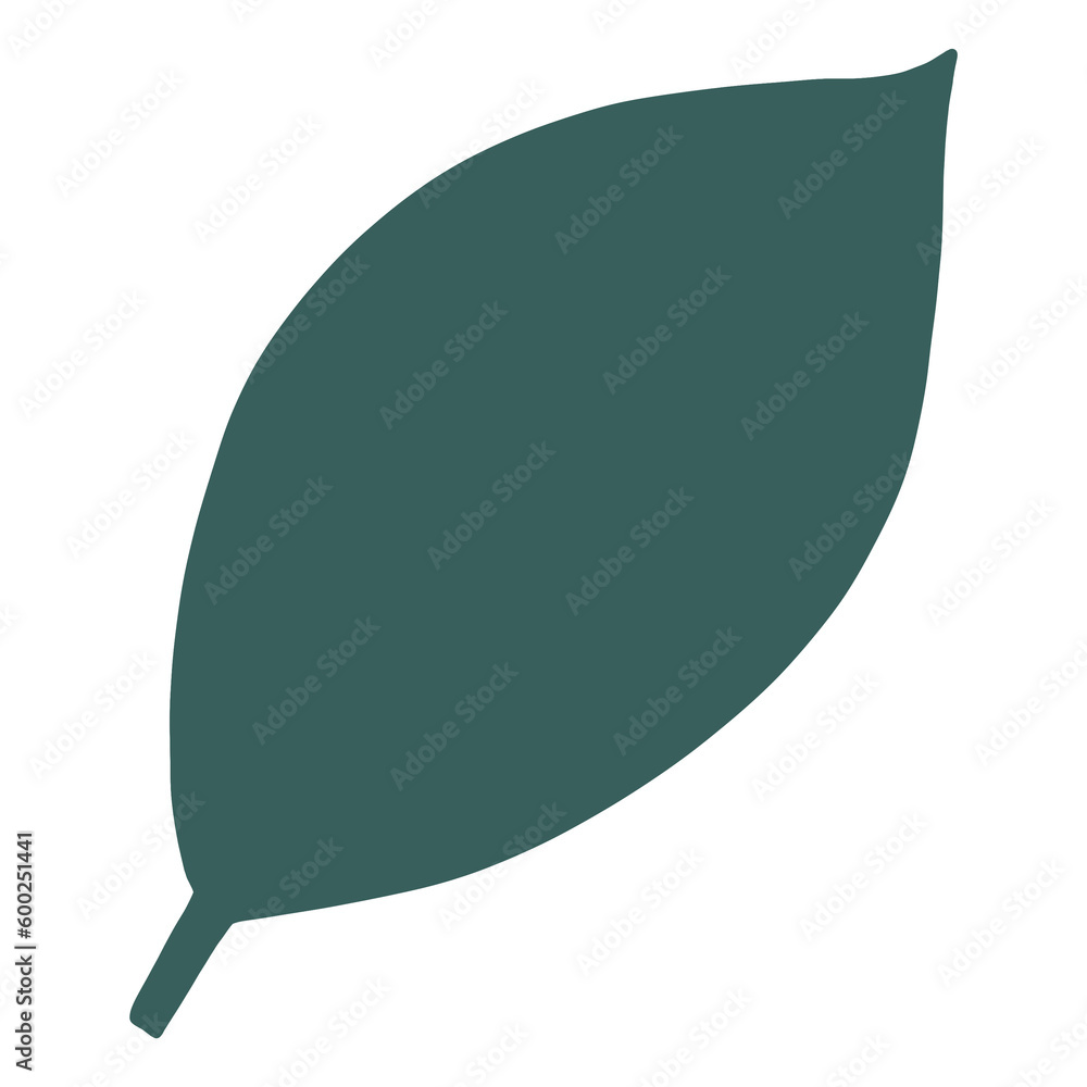 illustration of a leaf illustration of a leaf