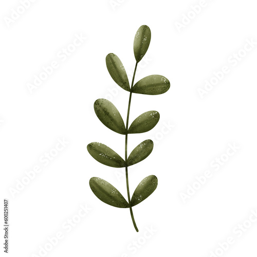 illustration of a leaf