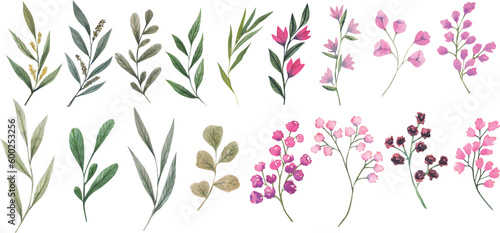Vector illustration of brunches with green leaves and pink flowers. Hand painted greenery element with watercolor effects. Individual natural cliparts