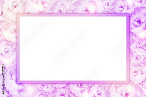 Festive background of peonies and transparent frame with pink outline. Top view, flat lay. Copy space Birthday, mother, valentine, woman, wedding day concept © art_rich