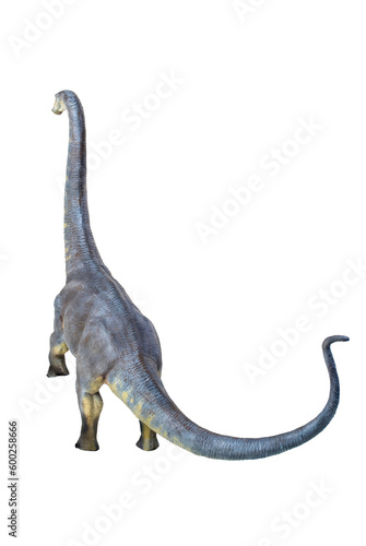 dinosaur , Brontosaurus isolated background © meen_na