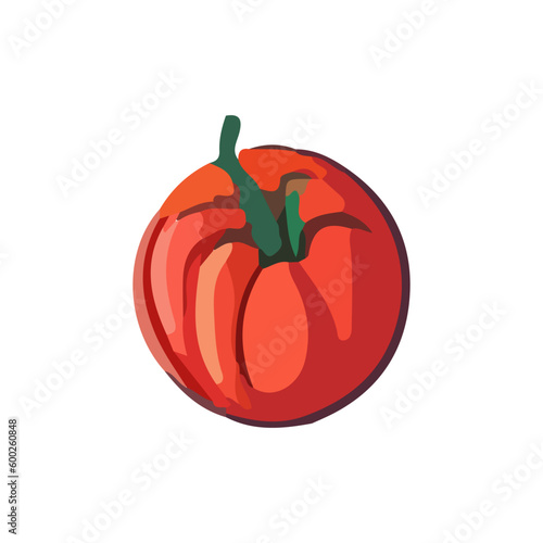 Vector illustration of a tomato drawn in watercolor in a cartoon style.