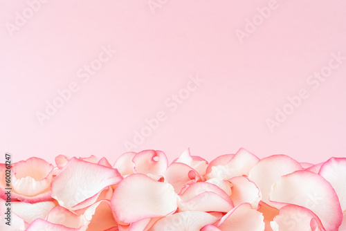 Rose petals on pink background with copy space.