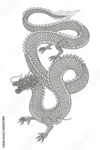 Angry japanese dragon vector vintage engraving drawing style illustration 