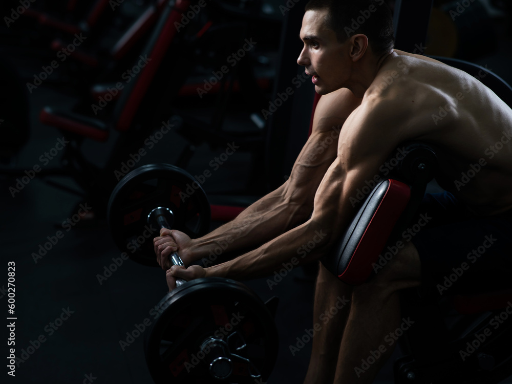 Man doing EZ barbell bicep exercises on Scott bench. Man doing EZ barbell bicep exercises on Scott bench.