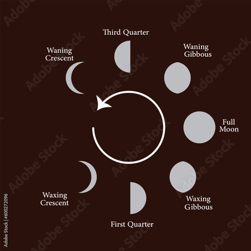cycle of Moon   Icon Vector Image Illustration 