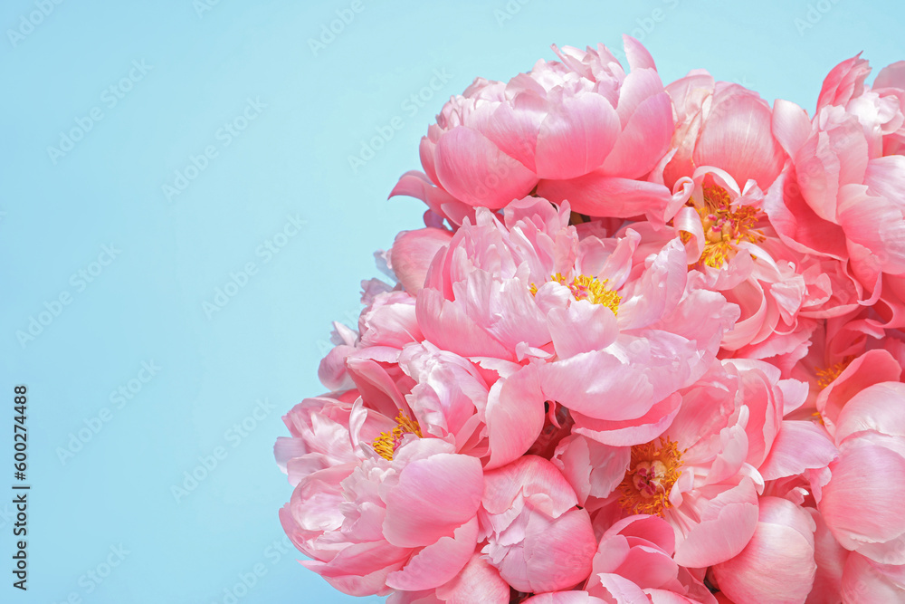 Bunch of beautiful peonies on turquoise background, closeup. Space for text Bunch of beautiful peonies on turquoise background, closeup. Space for text