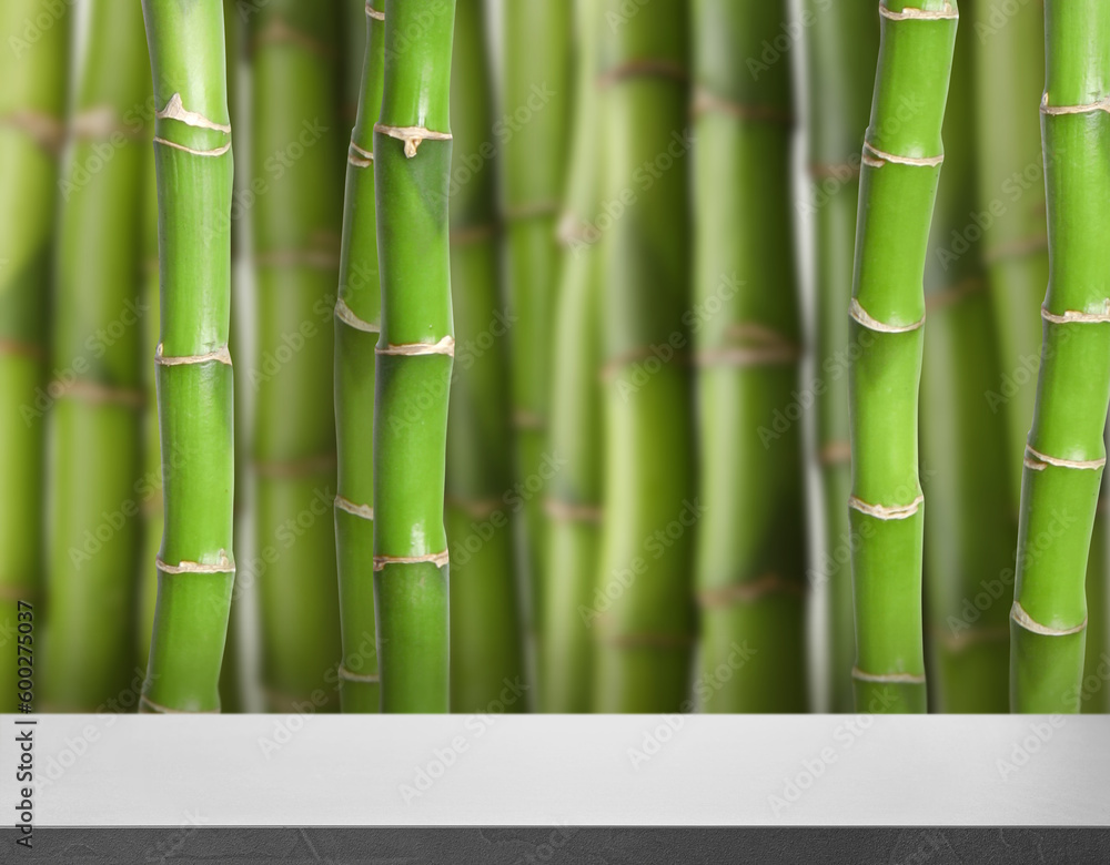 Obraz premium Empty grey surface against green bamboo stems. Space for design