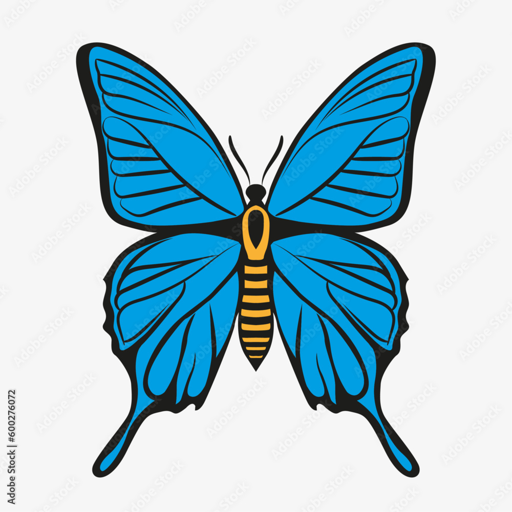 Fototapeta premium Beautiful Vector Isolated Blue Butterfly