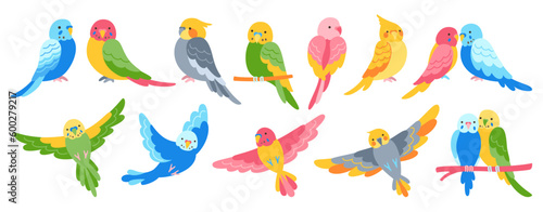 Parrot tropical cartoon set. Summer bright exotic sitting and flying bird collection. Wildlife jungle Hawaiian cute parrots, funny pretty parakeet characters hand drawn vivid vector illustration