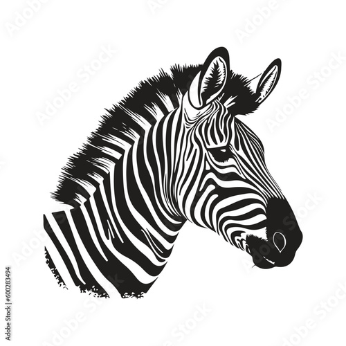zebra  vintage logo line art concept black and white color  hand drawn illustration