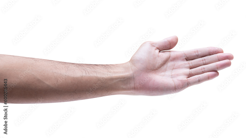 Male hand reach and ready to help or receive. Gesture isolated on white background.
