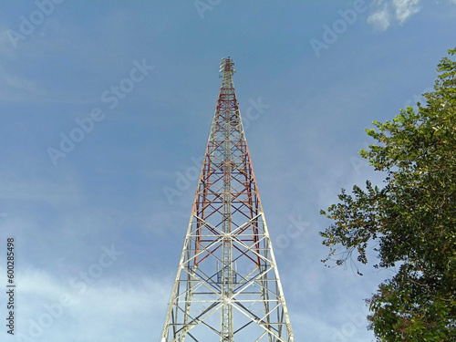 Cellular telecommunication tower