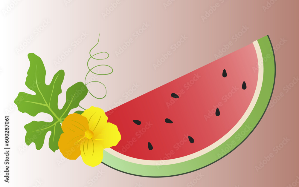 Watermelon slice vector Watermelon slice vector
