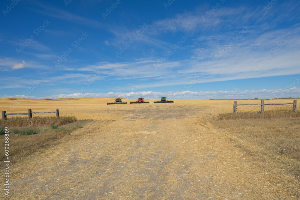 Obraz premium Three combine harvester sitting in a field with a cloudy blue sky, Alberta, Canada
