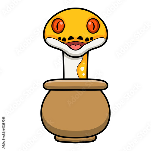 Cute albino pied reticulated python cartoon inside the pot