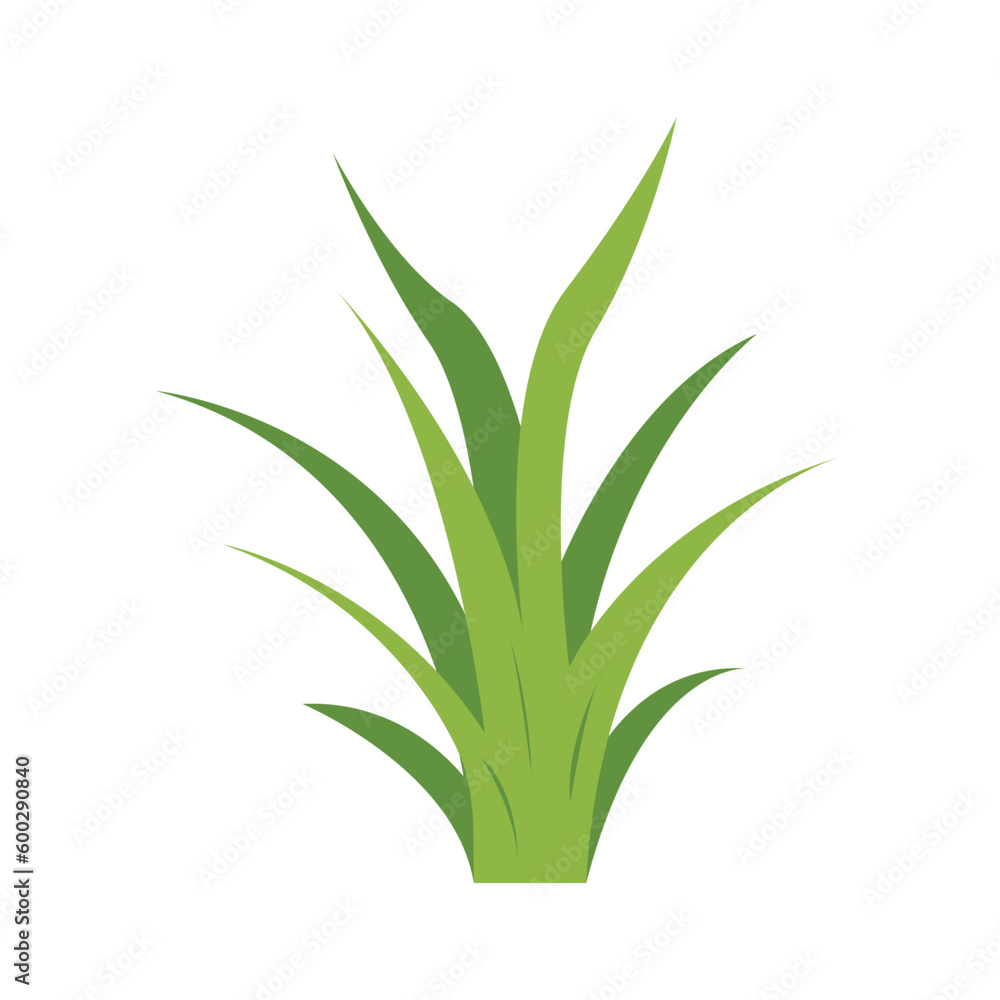 Fototapeta premium Green Grass Illustration