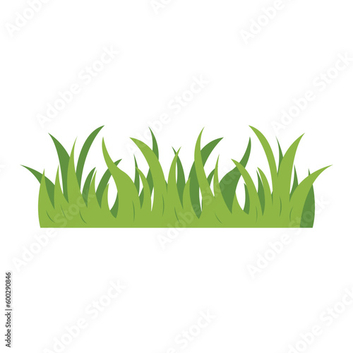 Green Grass Border Illustration