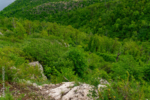 A beautiful view from the top of the Zhigulyov Mountains!