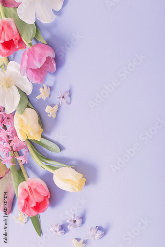 multicolored spring flowers on  purple background