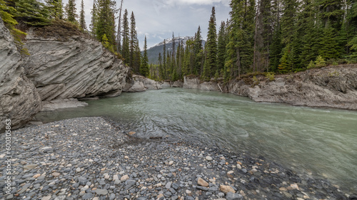 Incredible scenery near Banff National Park in spring time with turquoise water flowing through wilderness forest area with snow capped mountains in spring time. 