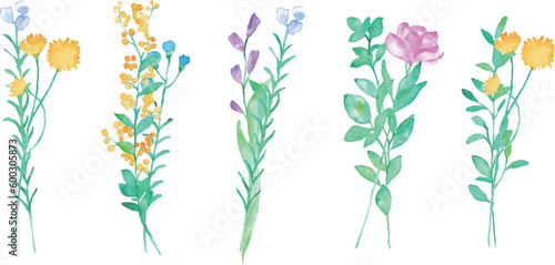                                                                                                                      Watercolor painting. Colorful plant vector illustration with watercolor touch. Natural style petals.