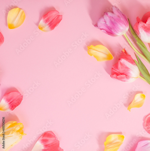 spring flowers on pink background