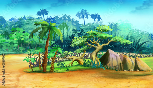 Green Plants in the sand in the African savannah