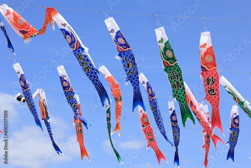 大空に泳ぐ1000匹の鯉のぼり（1000 carp streamers swimming in the sky）