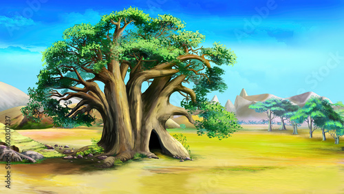 Big green tree in the African savannah