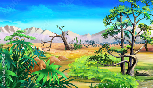 Plants in an oasis in the middle of the desert