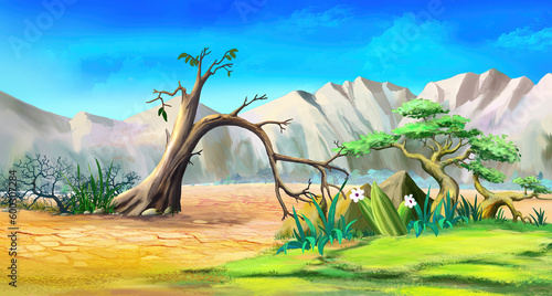 Plants in Africa at the foot of the mountains