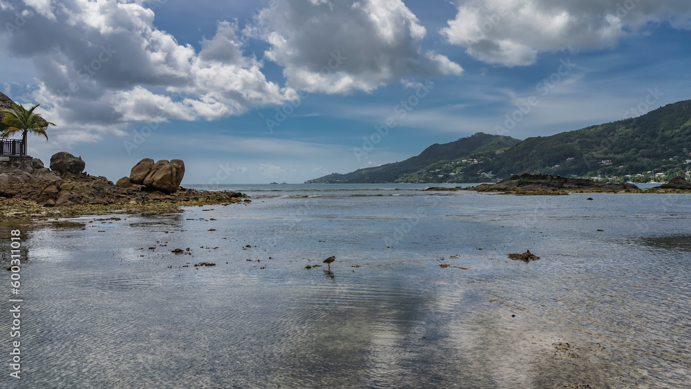 Low tide on the ocean. A bird is standing in shallow water, waiting for prey. Reflection. At the water's edge - exposed boulders, a gazebo with a thatched roof. A hill against a  blue sky, clouds.