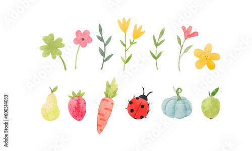 Fototapeta Naklejka Na Ścianę i Meble -  Beautiful stock illustration with set of watercolor hand drawn flowers fruits and other elements.