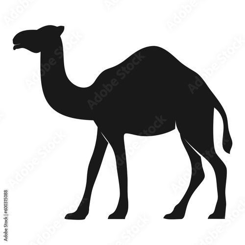 camel in the desert